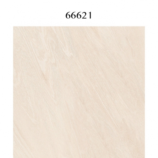 66621