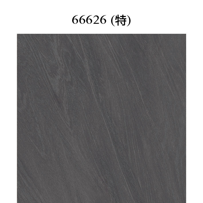 66626（特）