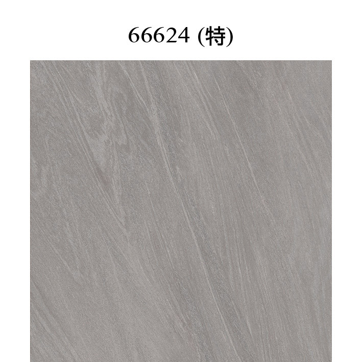 66624（特）